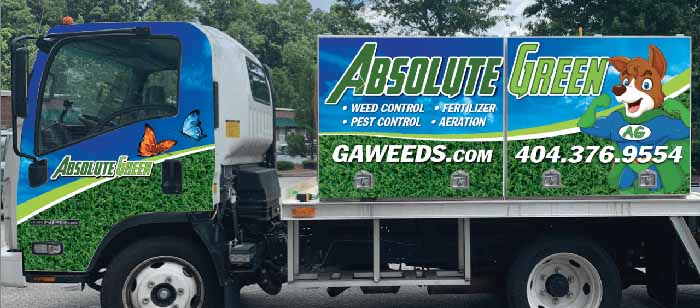 Spot treats weeds in green grass - Absolute Green Landscaping