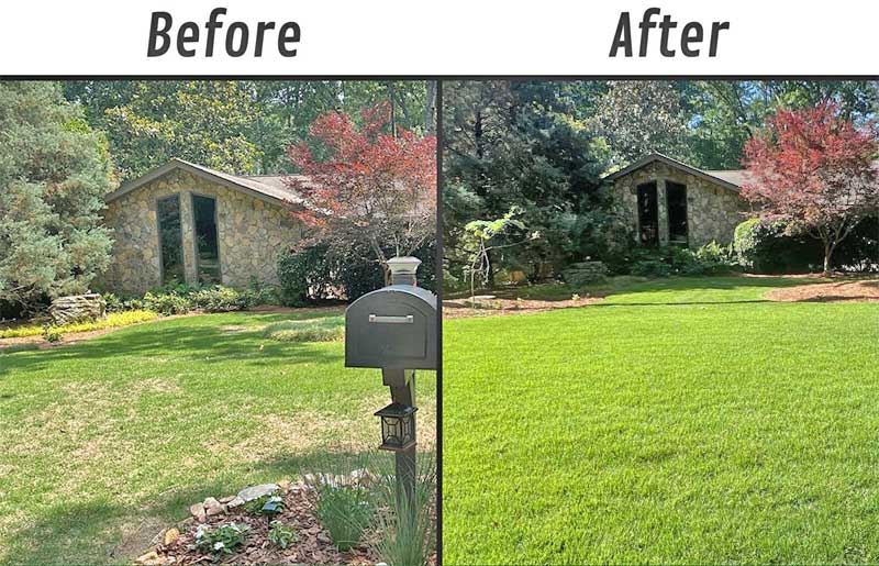 quality lawn care - befpre and after pictures